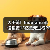 大手笔！Indorama承诺投资15亿美元进行PET回收（图1）
