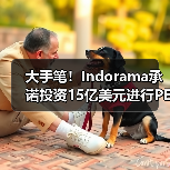大手笔！Indorama承诺投资15亿美元进行PET回收（图3）
