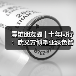 震雄朋友圈 | 十年同行：武义万博塑业绿色智造升级记（图4）