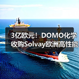 3亿欧元！DOMO化学收购Solvay欧洲高性能聚酰胺业务（图1）