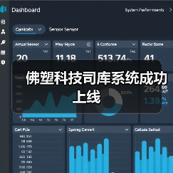 佛塑科技司库系统成功上线（图2）