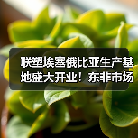 联塑埃塞俄比亚生产基地盛大开业！东非市场再添新引擎（图1）