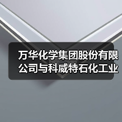 万华化学集团股份有限公司与科威特石化工业公司签署合资协议（图2）