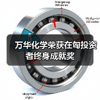 万华化学荣获在匈投资者终身成就奖（图4）