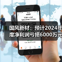 国风新材：预计2024年度净利润亏损6000万元~8000万元（图4）