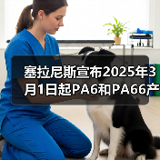 塞拉尼斯宣布2025年3月1日起PA6和PA66产品涨价（图4）