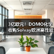 3亿欧元！DOMO化学收购Solvay欧洲高性能聚酰胺业务（图2）