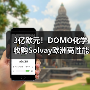 3亿欧元！DOMO化学收购Solvay欧洲高性能聚酰胺业务（图4）