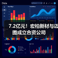 7.2亿元！宏柏新材与迈图成立合资公司（图3）