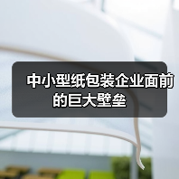 中小型纸包装企业面前的巨大壁垒（图1）