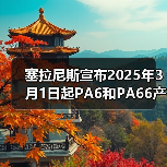 塞拉尼斯宣布2025年3月1日起PA6和PA66产品涨价（图3）