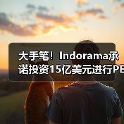 大手笔！Indorama承诺投资15亿美元进行PET回收（图4）