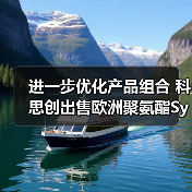 进一步优化产品组合 科思创出售欧洲聚氨酯Systems Houses业务（图2）