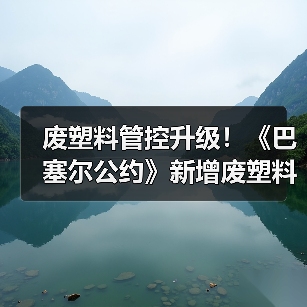 废塑料管控升级！《巴塞尔公约》新增废塑料管理及贸易（图3）