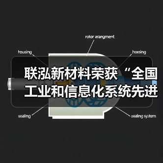 联泓新材料荣获“全国工业和信息化系统先进集体”称号（图4）