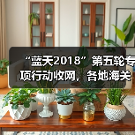 “蓝天2018”第五轮专项行动收网，各地海关严打“洋垃圾”走私（图3）