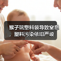 猴子玩塑料袋导致窒息，塑料污染依旧严峻（图4）