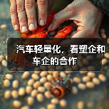 汽车轻量化,看塑企和车企的合作(图3) 汽车轻量化,看塑企和车企的合作(图3)