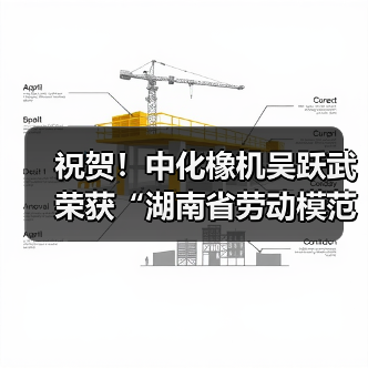 祝贺！中化橡机吴跃武荣获“湖南省劳动模范”荣誉称号（图4）