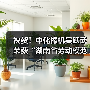 祝贺！中化橡机吴跃武荣获“湖南省劳动模范”荣誉称号（图3）
