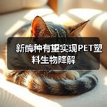 新酶种有望实现PET塑料生物降解（图2）