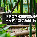通利集团·京东汽车战略合作签约圆满成功！携手重塑行业标杆（图3）