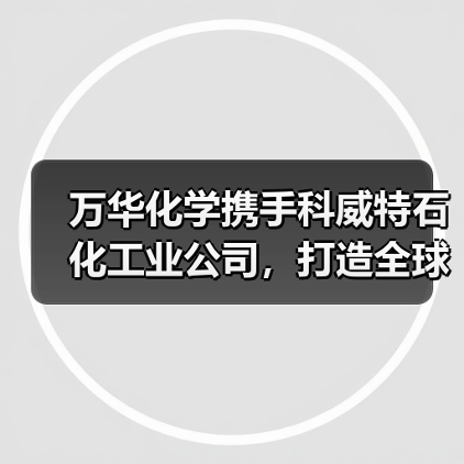 万华化学携手科威特石化工业公司，打造全球石化合作新标杆（图3）