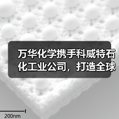 万华化学携手科威特石化工业公司，打造全球石化合作新标杆（图4）