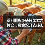 塑料期货多头持续发力 持仓与资金双升支撑涨势（图2）