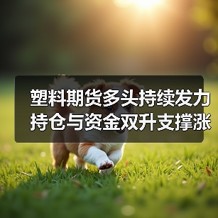 塑料期货多头持续发力 持仓与资金双升支撑涨势（图3）