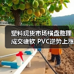 塑料现货市场横盘整理成交疲软 PVC逆势上涨引关注（图3）