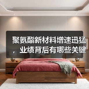 聚氨酯新材料增速迅猛，业绩背后有哪些关键布局？（图1）