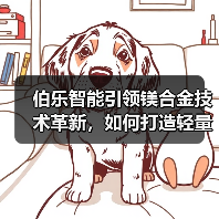 伯乐智能引领镁合金技术革新，如何打造轻量化新未来？（图2）