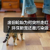 废旧轮胎为何突然走红？环保新宠还是污染源头？（图3）