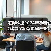 汇得科技2024年净利润暴增95% 聚氨酯产业如何破局？（图3）