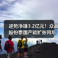 逆势净赚3.2亿元！众鑫股份泰国产能扩张背后的战略逻辑（图2）