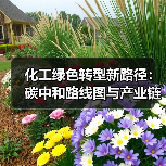 化工绿色转型新路径：碳中和路线图与产业链协同共进（图3）