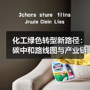 化工绿色转型新路径：碳中和路线图与产业链协同共进（图4）