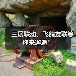 三展联动，飞鸽友联等你来邂逅！（图2）