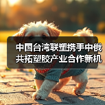 中国台湾联塑携手中俄共拓塑胶产业合作新机遇（图1）