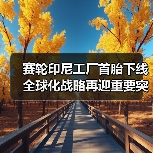 赛轮印尼工厂首胎下线 全球化战略再迎重要突破（图1）
