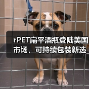 rPET扁平酒瓶登陆美国市场，可持续包装新选择（图3）