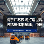 携手江苏汉光打造世界级抗氧化剂基地，中国新材料产业如何突围？（图4）