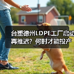 台塑德州LDPE工厂启动再推迟？何时才能投产？（图1）