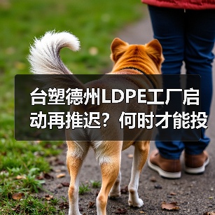 台塑德州LDPE工厂启动再推迟？何时才能投产？（图2）