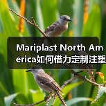 Mariplast North America如何借力定制注塑机实现效率跃升（图1）
