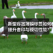 新型容器薄膜标签如何提升套印与模切性能？（图1）