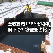 营收暴增138%却净利润下滑？橡塑业占比下降真相揭秘（图4）
