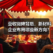 营收微降背后，新材料企业布局哪些新方向？（图4）