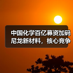中国化学百亿募资加码尼龙新材料，核心竞争力如何提升？（图4）